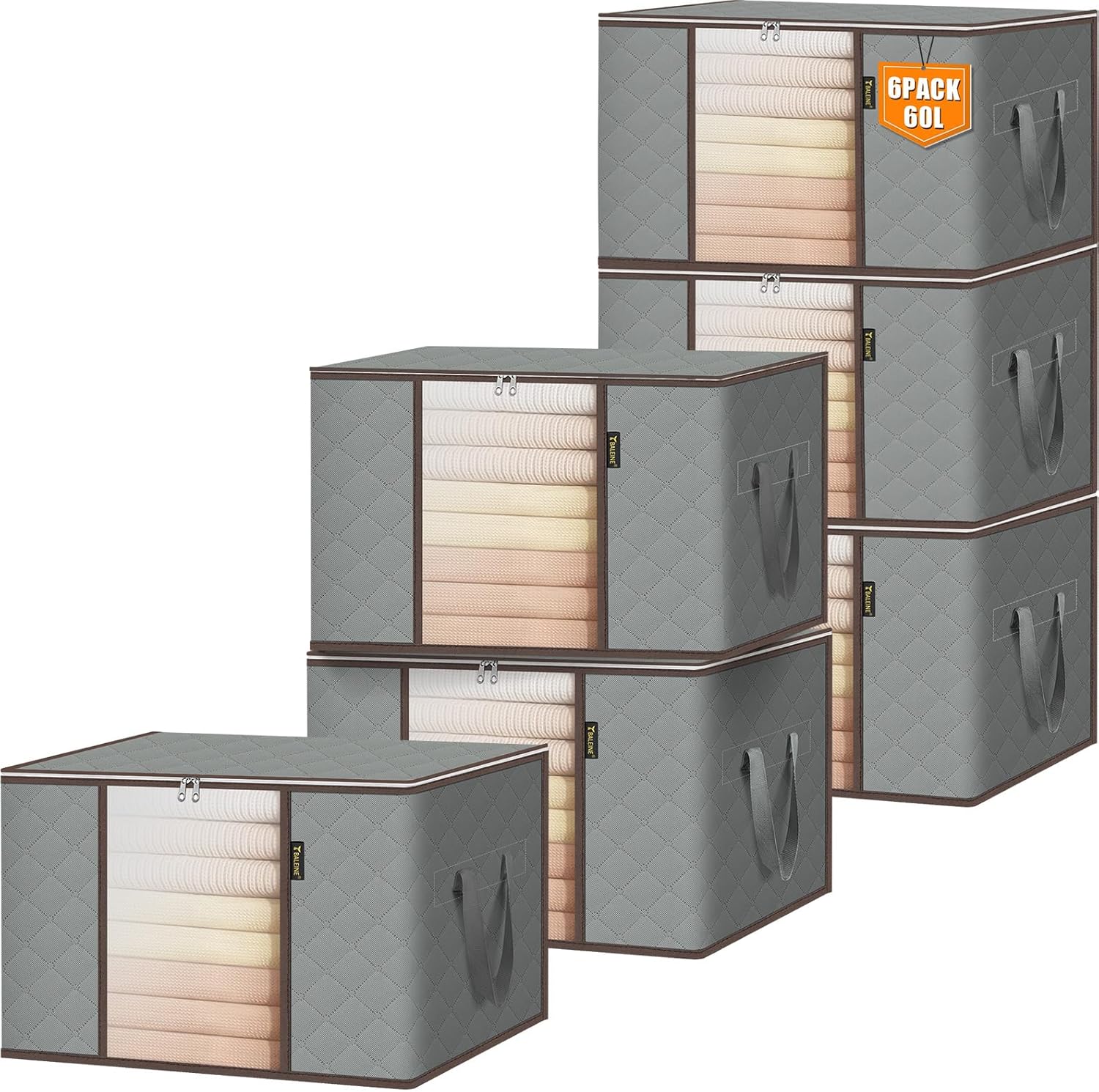 6 Pack Clothes Storage Bags